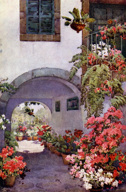 葡萄牙花园里的杜鹃花（彩色平版印刷） 作者 艾拉·杜甘蔗