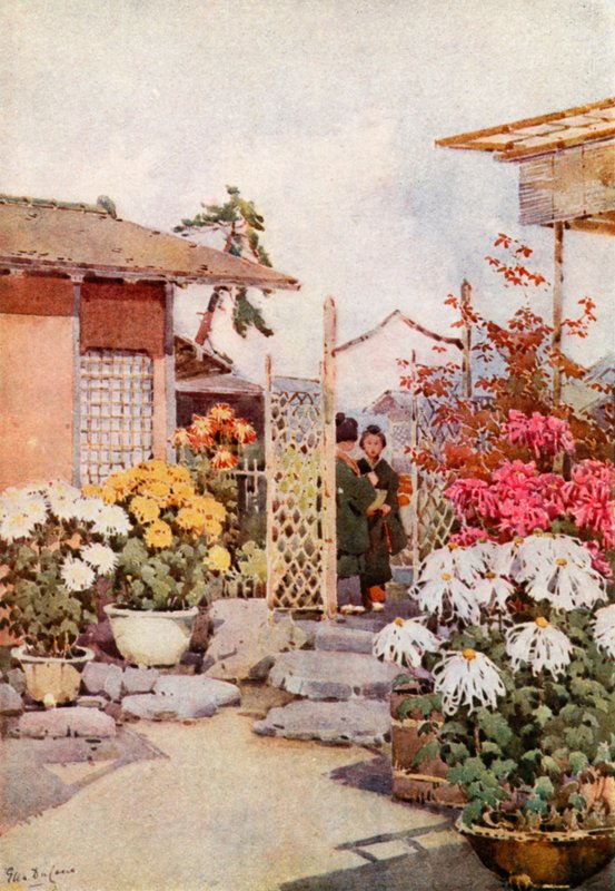 菊花，京都（彩色石版画） 作者 艾拉·杜甘蔗