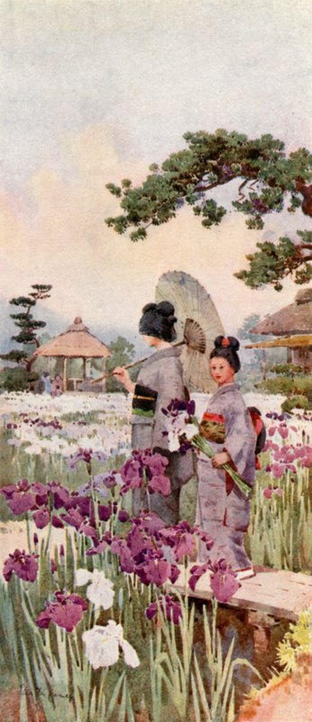 鸢尾花、堀切（彩色平版印刷） 作者 艾拉·杜甘蔗