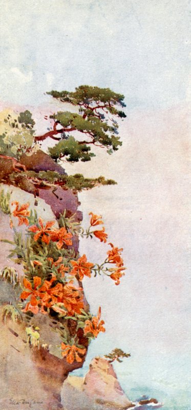 岩石上的百合花，热海（彩色石版画） 作者 艾拉·杜甘蔗