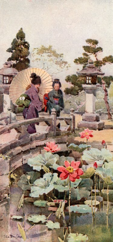 荷花（彩色平版） 作者 艾拉·杜甘蔗