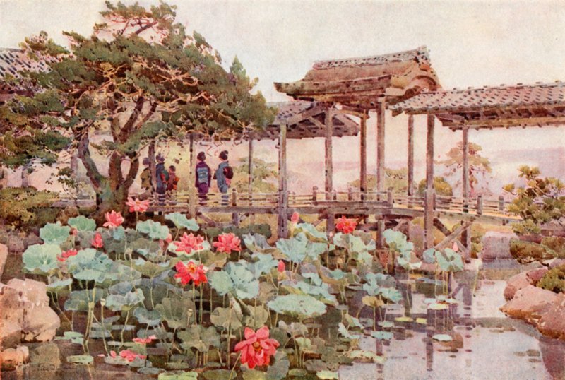 高台寺的莲花（彩色平版印刷） 作者 艾拉·杜甘蔗