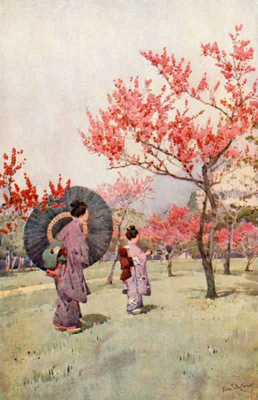 桃花（彩色印刷版） 作者 艾拉·杜甘蔗