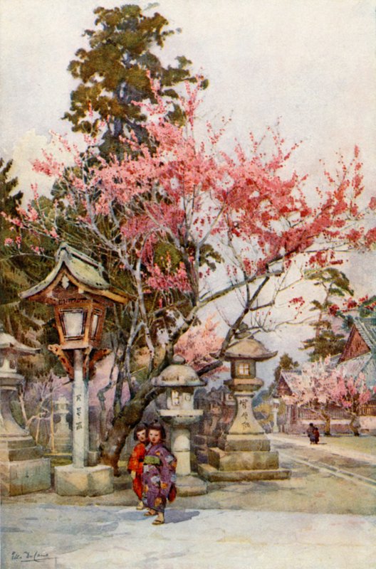 梅花灯笼（彩色平版） 作者 艾拉·杜甘蔗