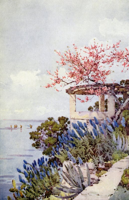 马德拉的骄傲》和《桃花》（彩色印刷版） 作者 艾拉·杜甘蔗