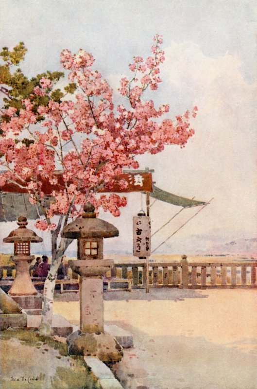 粉红樱桃（彩色平版） 作者 艾拉·杜甘蔗