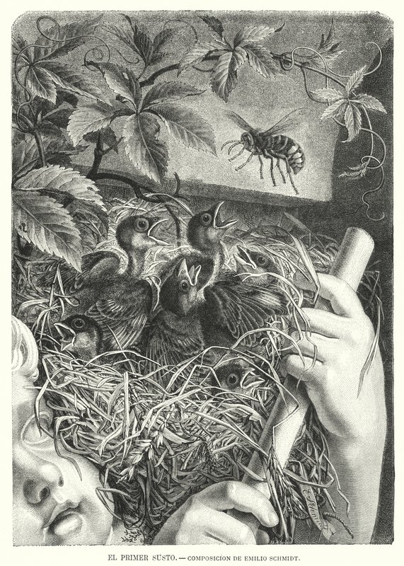 The First Scare (litho) 作者 埃米尔（之后）施密特