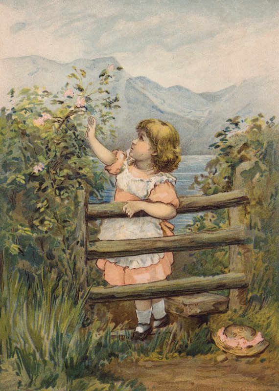 伸手摘花的女孩（chromolitho） 作者 艾米丽·简·哈丁·安德鲁斯