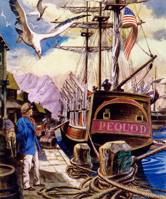 Pequod 作者 英语学校