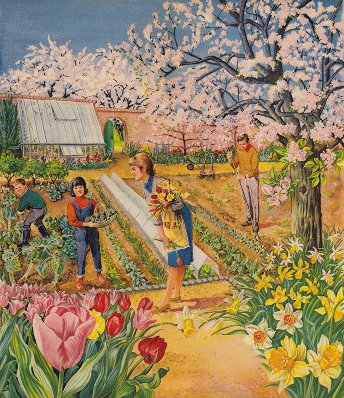 春天的花园 作者 英语学校