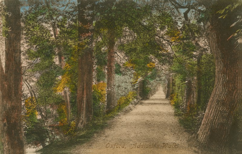 Addisons Walk，牛津。明信片于1913年寄出。 作者 英国摄影师