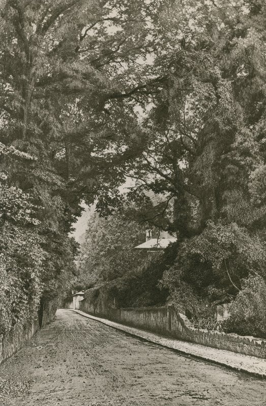 Bonchurch路，怀特岛 作者 英国摄影师