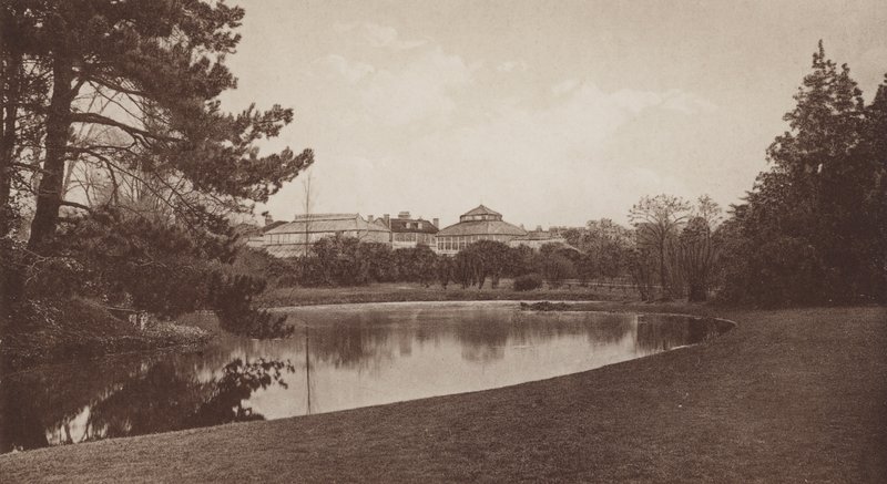 Botanic Gardens, Cambridge (b/w photo) 作者 英国摄影师