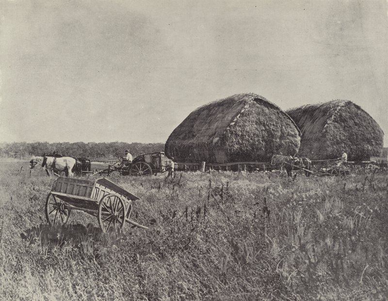 Canning Downs Station 作者 英国摄影师