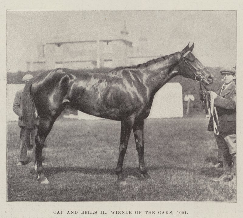 Cap和Bells II，奥克斯的获胜者，1901年 作者 英国摄影师