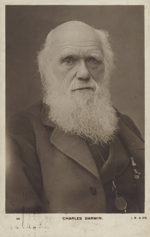 查尔斯达尔文（1809-1882），英国博物学家 作者 英国摄影师