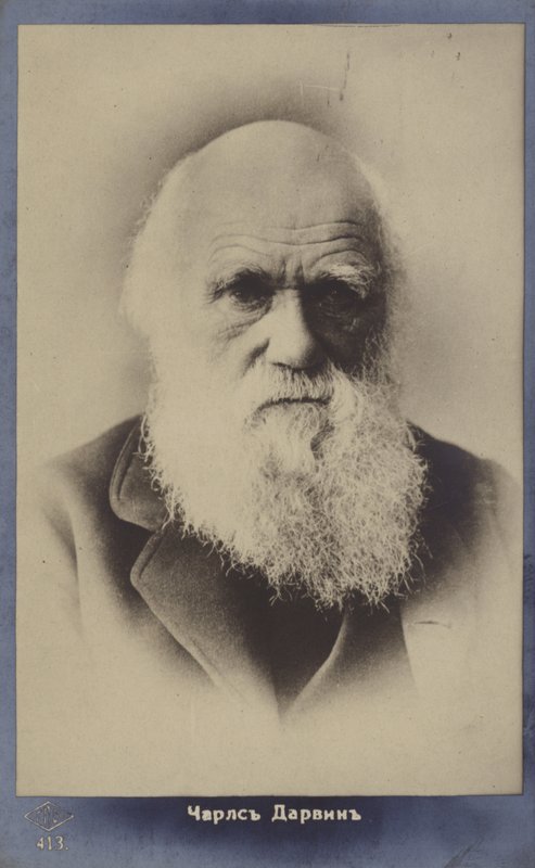 查尔斯达尔文（1809-1882），英国博物学家 作者 英国摄影师