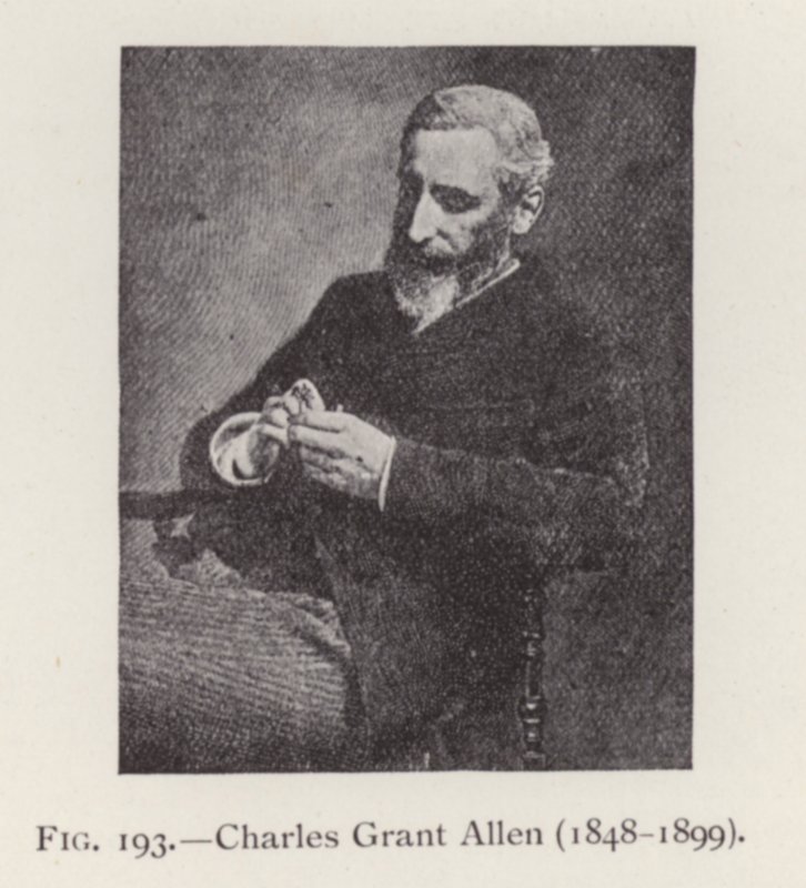 查尔斯-格兰特-艾伦（1848-1899），肖像（黑白照片）。 作者 英国摄影师