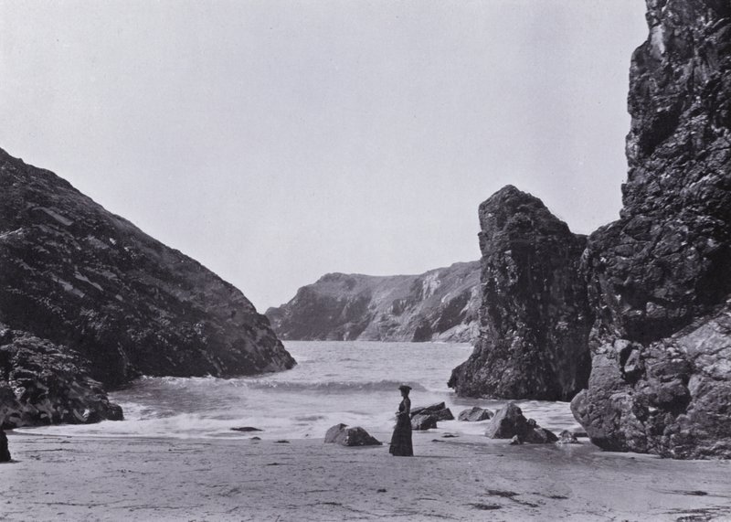 康沃尔郡：Kynance Cove，蜥蜴 作者 英国摄影师
