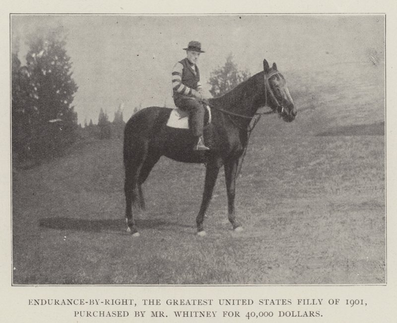 Enduit-Right，1901年最伟大的美国小说，由惠特尼先生以40,000美元购买 作者 英国摄影师
