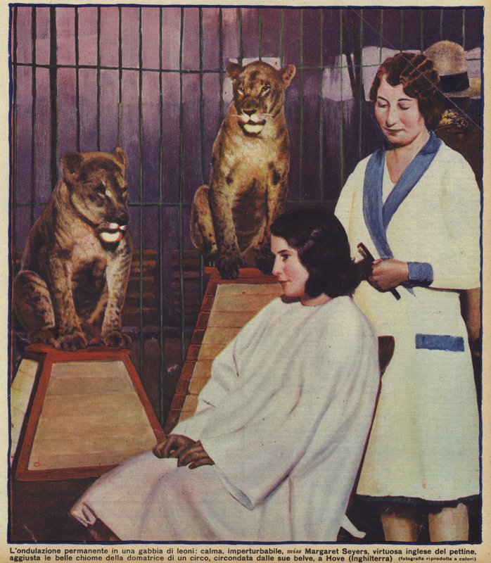 英国美发师玛格丽特·赛耶斯（Margaret Seyers）平静地为马戏团驯狮师做头发，在她的动物们的注视下，苏塞克斯霍夫（照片） 作者 英国摄影师