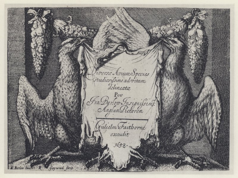 F Barlow, Diversae avium species, G Faithorne 1658 (b/w photo) 作者 英国摄影师