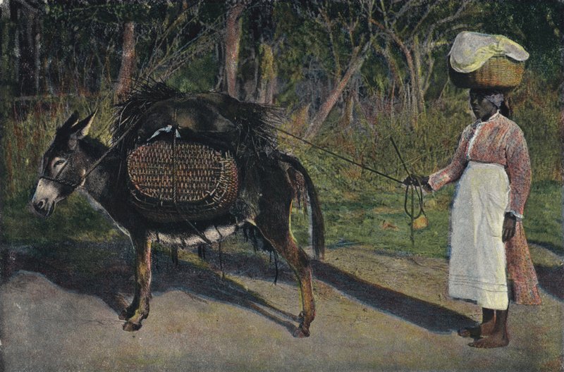 Going to Market, Jamaica (coloured photo) 作者 英国摄影师