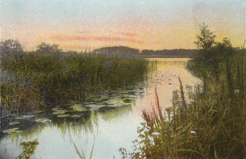 Hoveton Broad 作者 英国摄影师