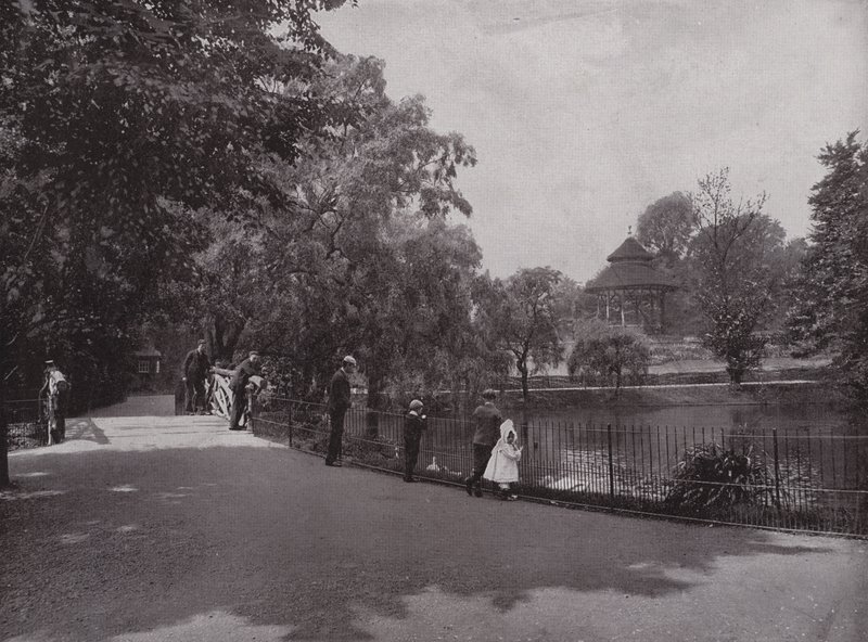 在Highgate的Waterlow Park 作者 英国摄影师