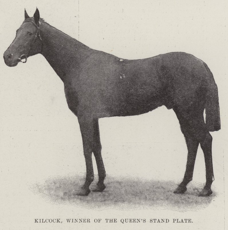 Kilcock，Queens Stand Plate的获胜者 作者 英国摄影师