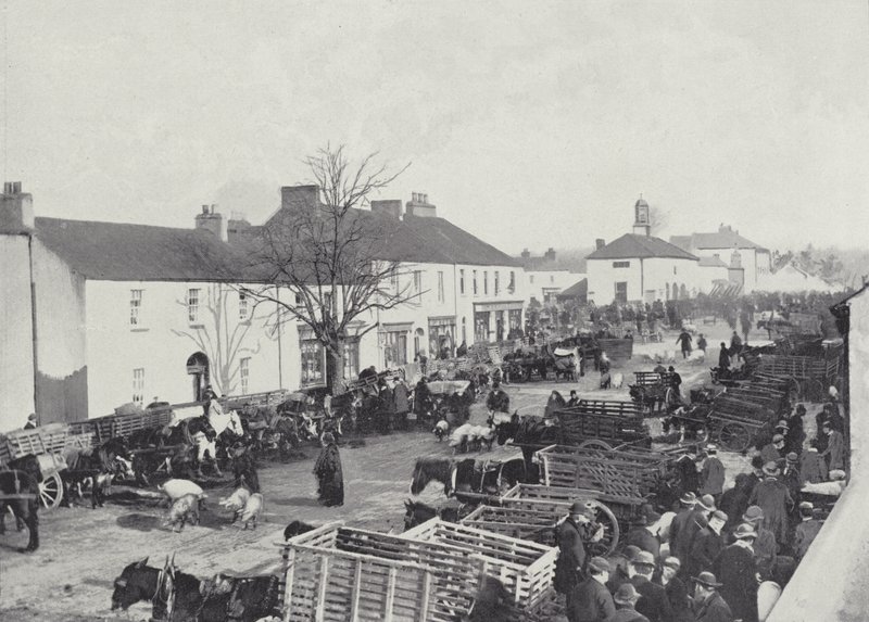 Abbeyleix的市场日 作者 英国摄影师