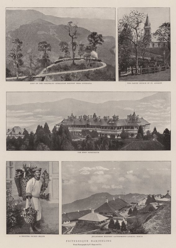 如诗如画的大吉岭 作者 英国摄影师