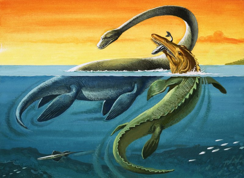 海洋中的史前生物（纸上水粉画） 作者 英国摄影师