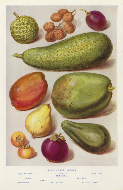 Some rarer fruits (photo) 作者 英国摄影师