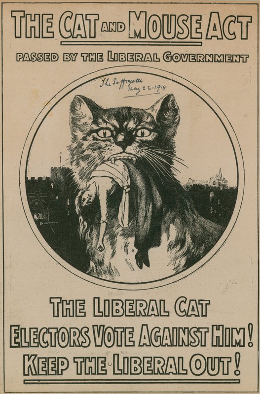 猫与老鼠法案 作者 英国摄影师