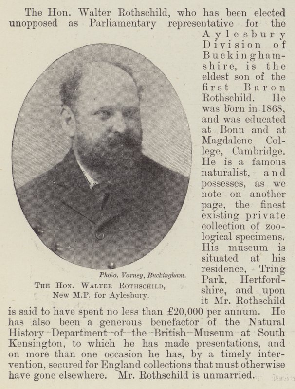 艾尔斯伯里的新议员Walter Rothschild阁下 作者 英国摄影师