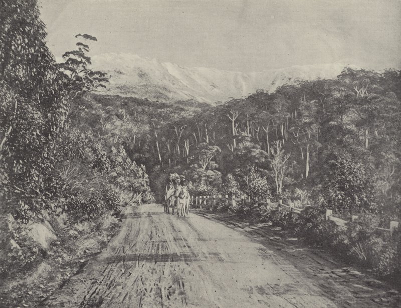 Huon Road 作者 英国摄影师