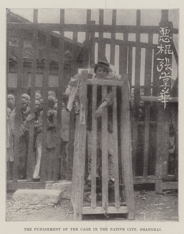 上海本土城市笼子的惩罚 作者 英国摄影师