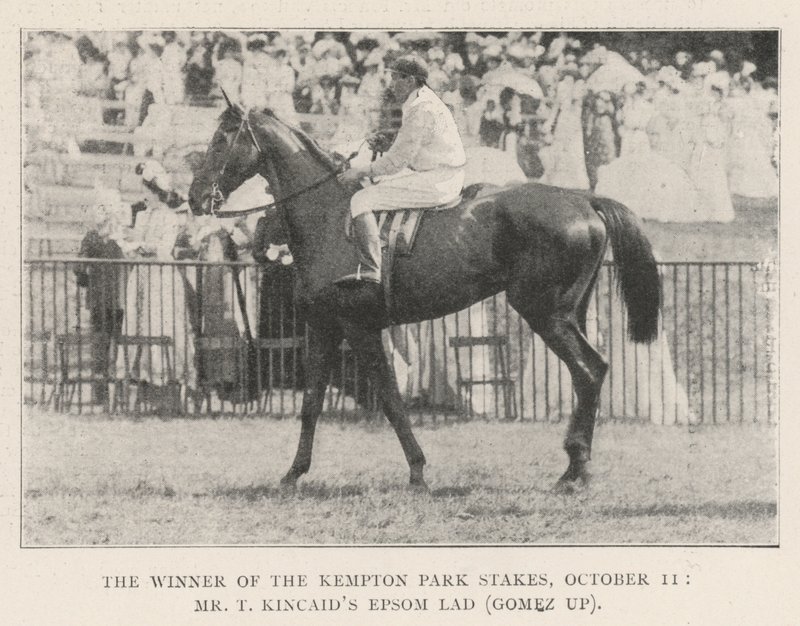 10月11日，肯普顿公园赌场的获胜者，T Kincaids Epsom Lad先生（Gomez up） 作者 英国摄影师