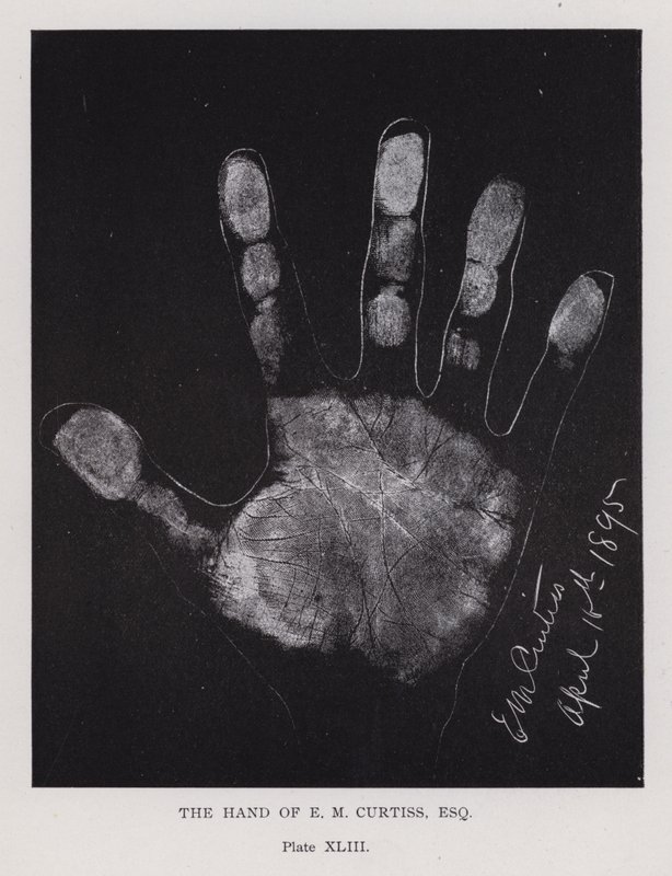 The hand of E M Curtiss (b/w photo) 作者 英国摄影师