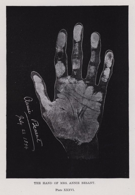 The hand of Mrs Annie Besant (b/w photo) 作者 英国摄影师