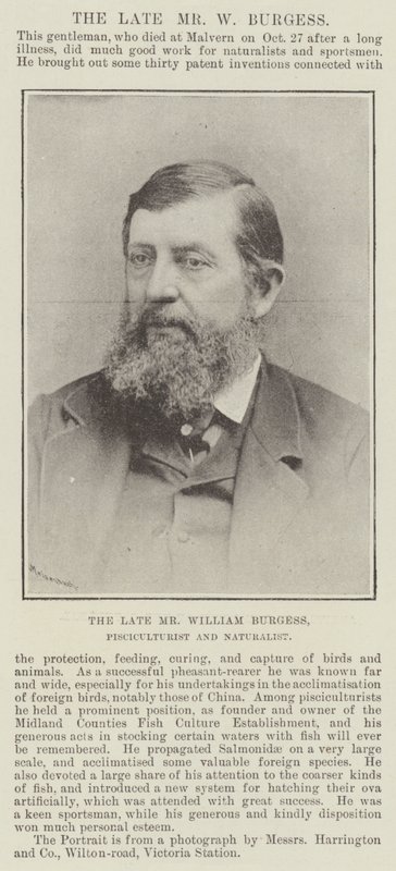已故的William Burgess先生，Pisciculturist和自然主义者 作者 英国摄影师