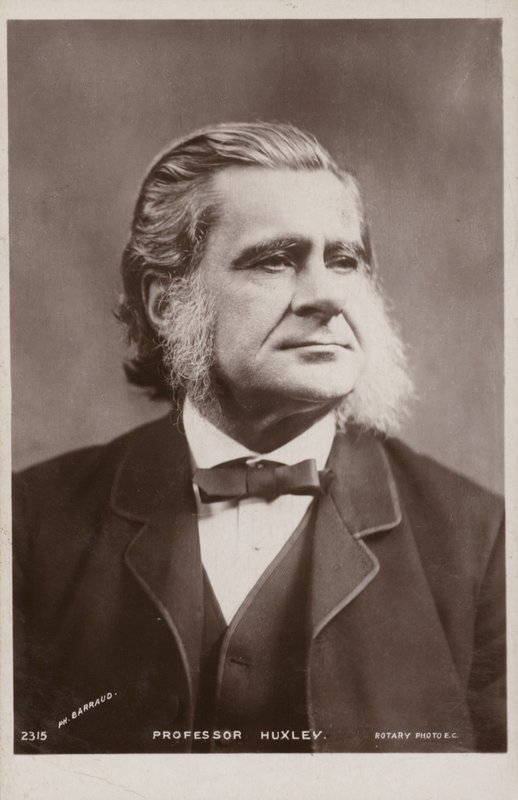 Thomas Henry Huxley（1825-1895，英国生物学家 作者 英国摄影师