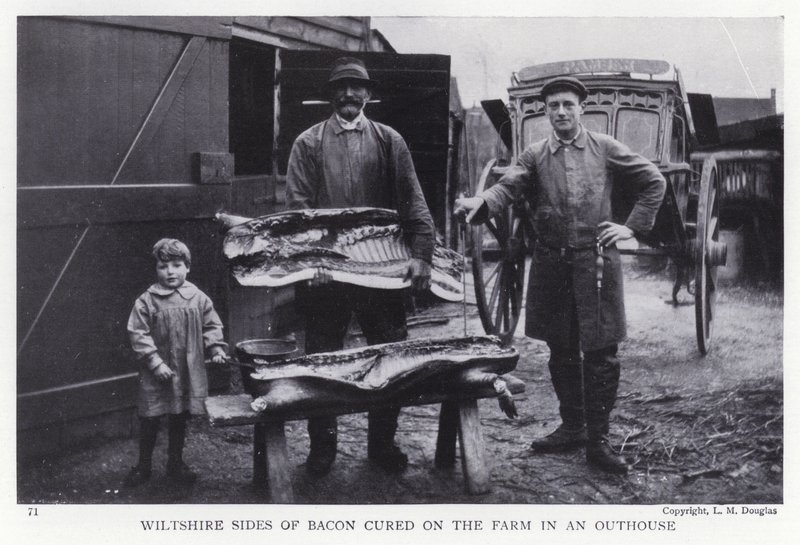 Wiltshire sides of bacon cured on the farm in an outhouse (b/w photo) 作者 英国摄影师
