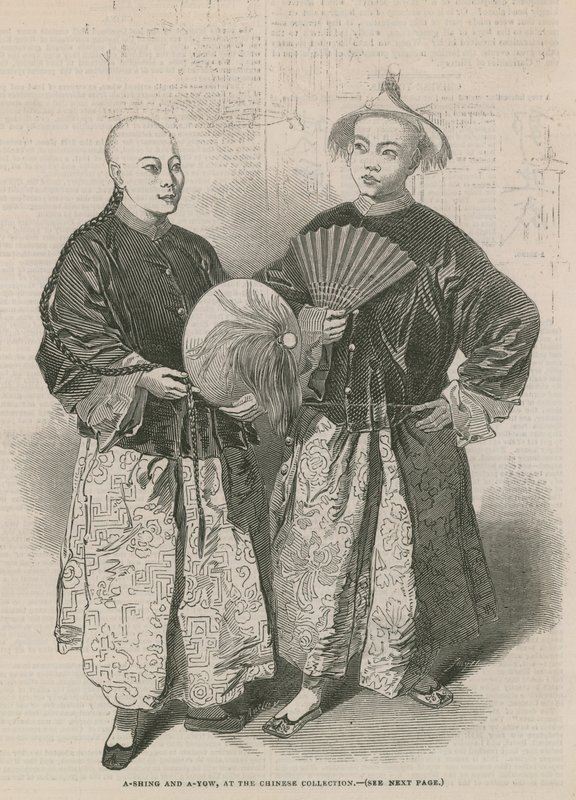 A-Shing和A-Yow，在中国收藏 作者 英语学校