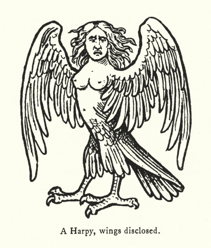 A Harpy, wings disclosed (engraving) 作者 英语学校