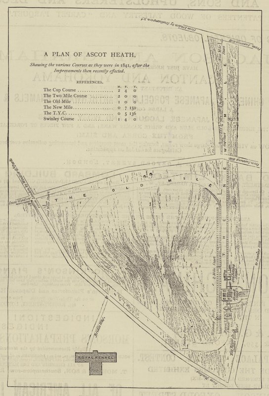 Ascot Heath 计划（雕刻） 作者 英语学校