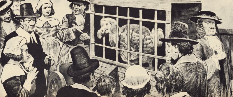 十七世纪英国展出的渡渡鸟（石版画） 作者 英语学校