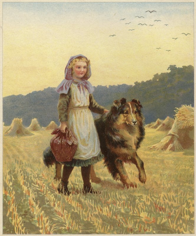 站立在一个领域的一个女孩用她的在她的大牧羊犬狗的手 作者 英语学校