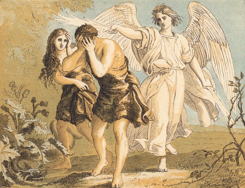 Adam and Eve driven from the Garden (coloured engraving) 作者 英语学校